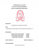 Segmentación de mercado según el ciclo de vida familiar: padres solteros I y II