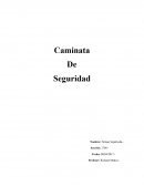 Caminata De Seguridad