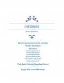 INFORME DE BRAZO ROBOTICO