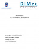 Estructura Metalográfica Y Ensayos de Dureza