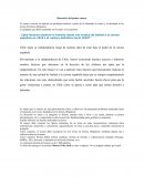 Comentario Critico Eneida