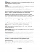 Resumen Anatomia