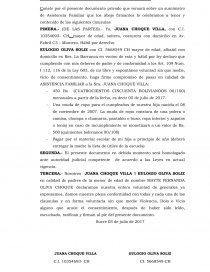 DOCUMENTO VOLUNTARIO DE ASISTENCIA FAMILIAR. Página 1