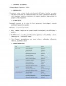 Abdomen agudo obstructivo