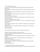 ¡Todo tiempo pasado fue mejor!