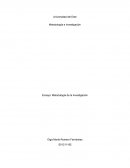 Ensayo Metodologia de la investigacion