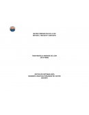 PROGRAMA DE INGENIERÍA INDUSTRIAL. GESTION DE SISTEMAS HSEQ