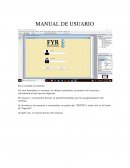 MANUAL DE USUARIO. Sistemas