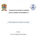 Informe Mensual de 12 de febrero-12 de marzo