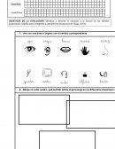 Evaluación Control “Los sentidos”