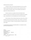 Problema materia prima y producción