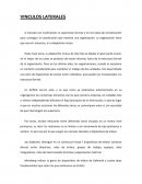 VINCULOS LATERALES