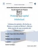 De hecho en México a creado en México