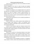 El frijol. Nuestros abuelos tenían razón