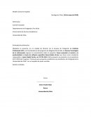 Modelo Carta de Respaldo