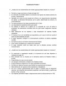 ¿Cuáles son las características del modelo agroexportador basado en el cacao?