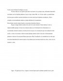 Como crear tú Huerto Ecológico en casa