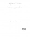 TEORÍAS COGNITIVAS DEL APRENDIZAJE Jean Piaget