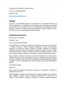 Curriculum profesional