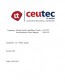 BRIEF DE INVESTIGACIÓN DE MERCADO