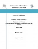 Relación temperatura-presión-volumen para un sistema gaseoso