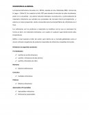 Refractarios Peruanos S.A., REPSA