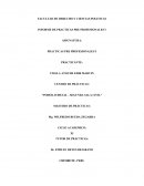 INFORME DE PRACTICAS PRE PROFESIONALES I