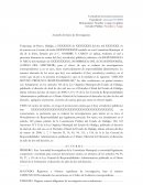 Inicio de investigación responsabilidad administrativa