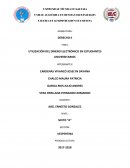 UTILIZACIÓN DEL DINERO ELECTRÓNICO EN ESTUDIANTES UNIVERSITARIOS