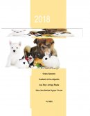 Mercadotecnia de Mascotas