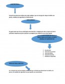 Derecho Penal - actividad