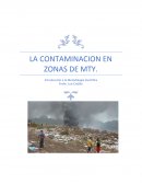 LA CONTAMINACION EN ZONAS DE MTY