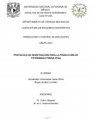 PROTOCOLO DE INVESTIGACIÓN PARA LA PRODUCCIÓN DE FITOHEMAGLUTININA (PHA)