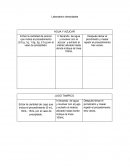 Densidad del tampico