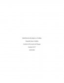 Identificación del peligro en el trabajo. Desarrollo El alumno deberá identificar la fuente, situación y acto de ambas imágenes