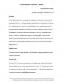 Los Biocombustibles líquidos en Colombia