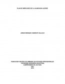 PLAN DE MERCADEO DE LA ALMOHADA ALEGRE