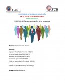 CONTEXTO SOCIAL EVIDENCIA 3.1 Representación gráfica de las profesiones