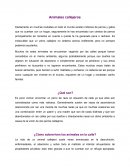 Por que hay animales callejeros