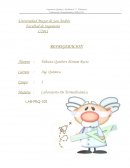 Informe termodinámica