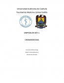 SIMPOSIUM CROMOMICOSIS