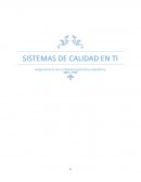 SISTEMAS DE CALIDAD EN TI Aseguramiento De La Calidad Importancia y Beneficios