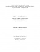 IMPACTO DE LA VELOCIDAD DEL VIENTO, TEMPERATIRA Y ALTA RADIAQCIÓN EN LA TRANSPIRACIÓN