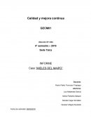 INFORME Caso “MIELES DEL MAIPO”