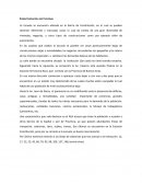 Caracterización institucional