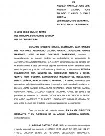 AUTOFINANCIAMIENTO MÉXICO, S.A. DE C.V.. Página 1