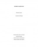 INFORME DE LABORATORIO Membrana Celular