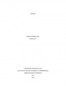 Administraciòn de empresas. Ejercicio