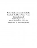 Ensayo sobre los temas vistos en clase