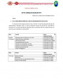 Formato acta consejo escolar